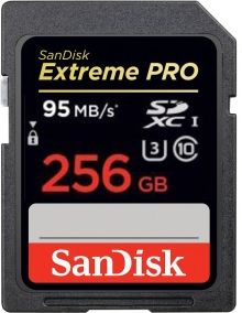 SanDisk Extreme SDXC 256GB (95 MB/s)